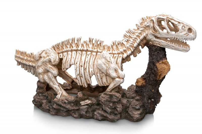 Dinosaur XXL 58x22x34cm