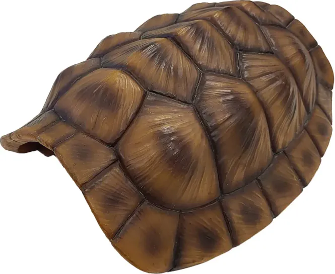 Hovedbilde REPTO DECO TORTOISE XL