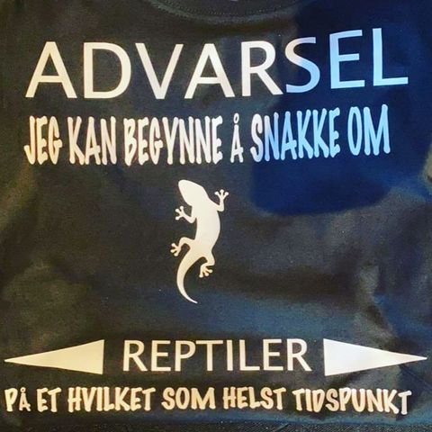 Hovedbilde ADVARSEL T-skjorte M
