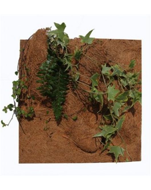 Hovedbilde PLANTING BACKGROUND 40x40cm