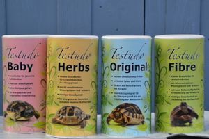 LANDSKILPADDE FOR
