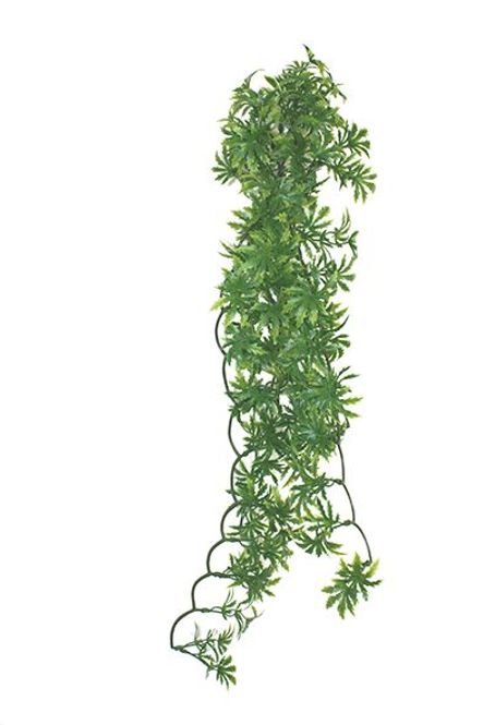 Hovedbilde Papahy leaf M