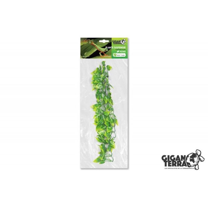 Hovedbilde Gigan terra hengeplante Pothos 56cm