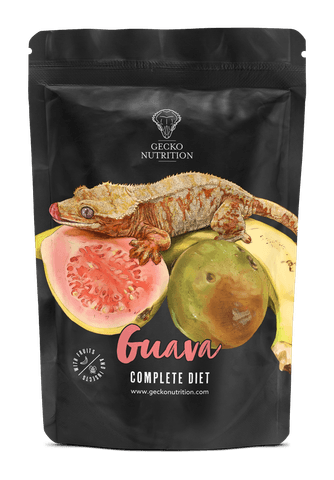 Hovedbilde Gecko nutrition Guava 250g