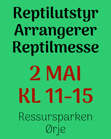 Hovedbilde Messe informasjon for utstillere 