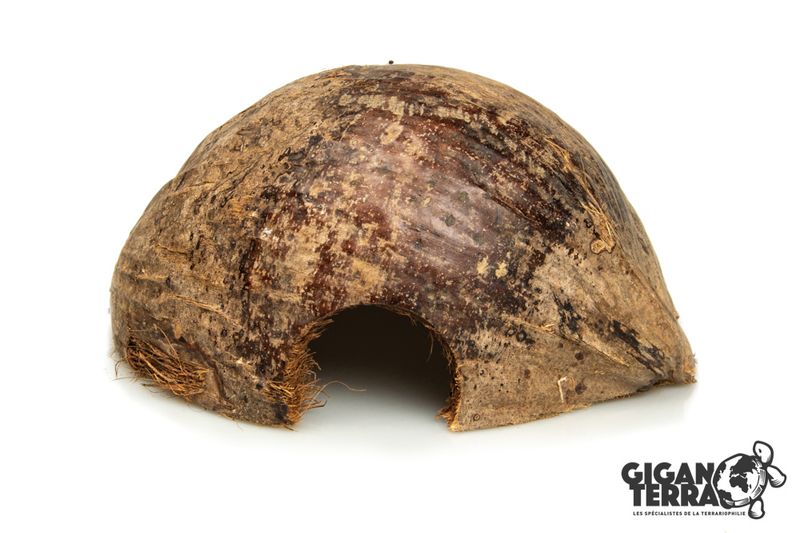 kokosnøtt hule 22x18x10cm
