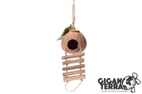 Hovedbilde Kokosn&oslash;tt med stige - 12x12x4 cm- 00006