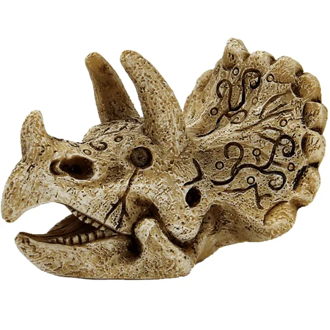 Hovedbilde SF Skull  Triceratops M