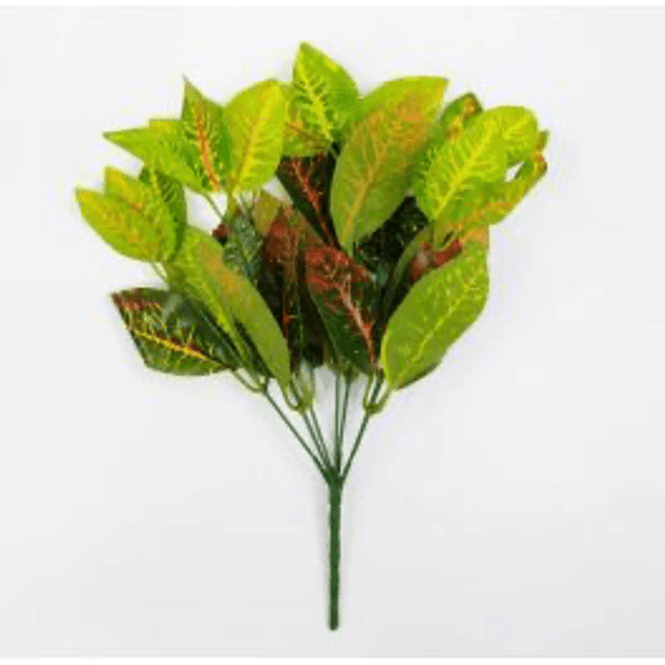 Hovedbilde Repti plant 6 33cm