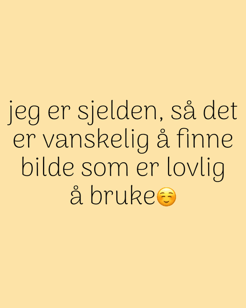 Avicularia Pucallpa /PUCALLPA PINK TOE sub adult hunn