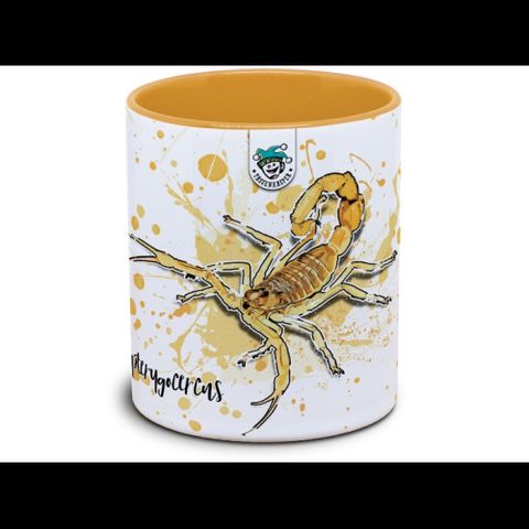 Hovedbilde KAFFEKOPP SKORPION / APISTOBUTHUS PTERYGOCERUS