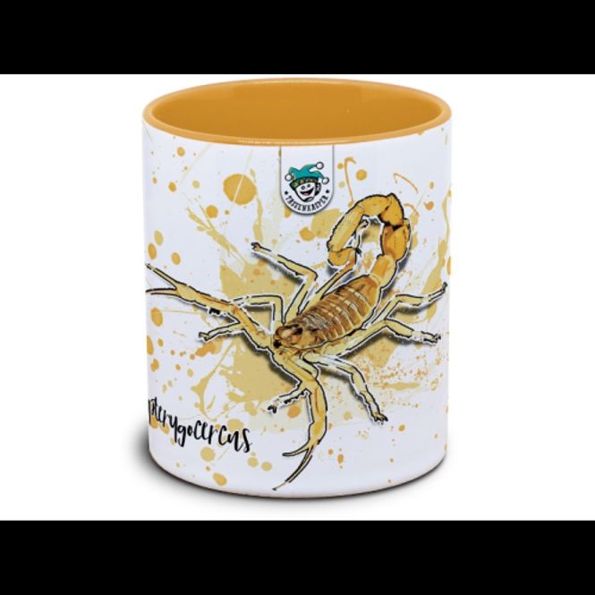 Hovedbilde KAFFEKOPP SKORPION / APISTOBUTHUS PTERYGOCERUS