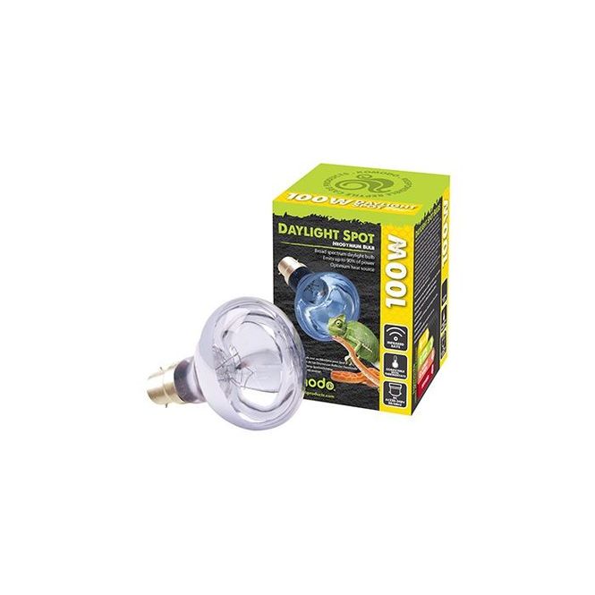 Hovedbilde Komodo Neodymium Daylight Spot Bulb 100w