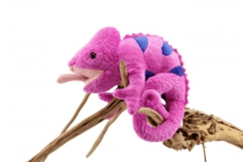 Hovedbilde Rosa kameleon