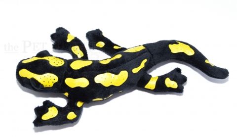 Hovedbilde Salamander