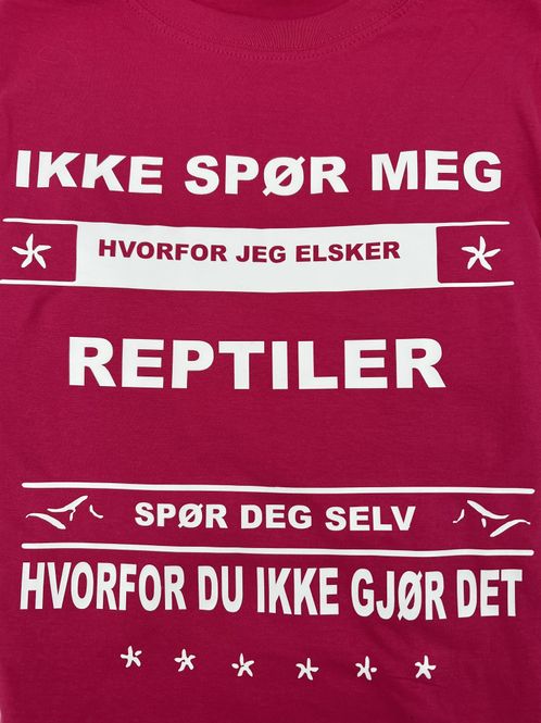 Hovedbilde 