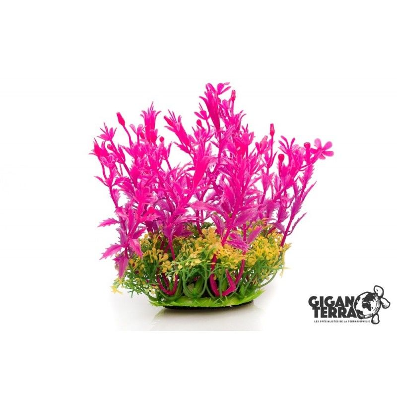 Plant sur pied Pink 12cm - 00526