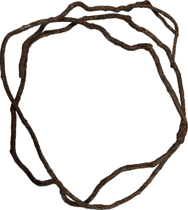 REPTO TREE VINE 300 CM