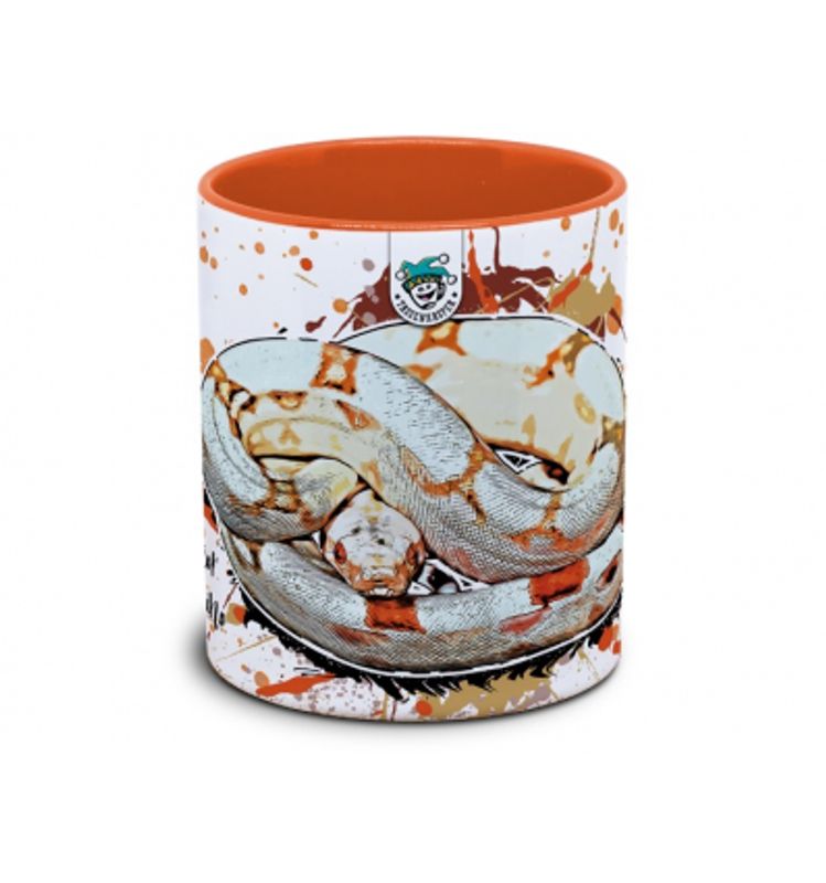 KAFFEKOPP KONGEBOA / ALBINO BOA CONSTRICTOR