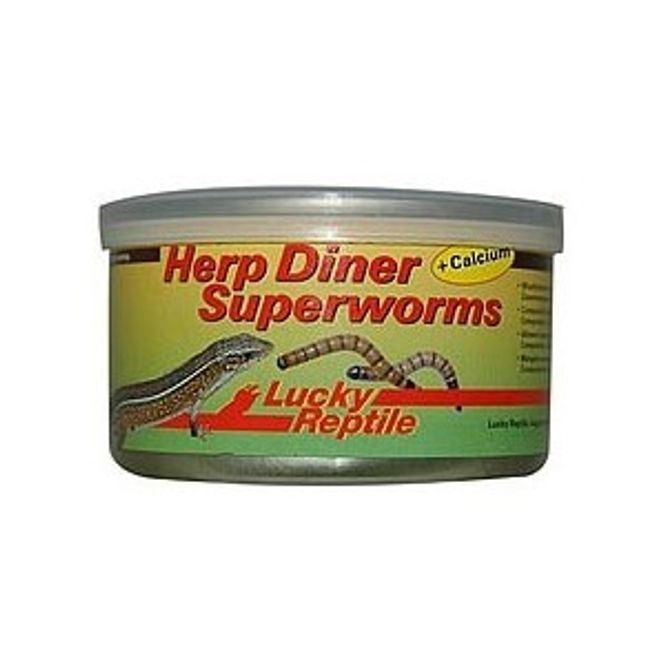 Hovedbilde Lucky Reptile Herp Diner, Superworms 35g
