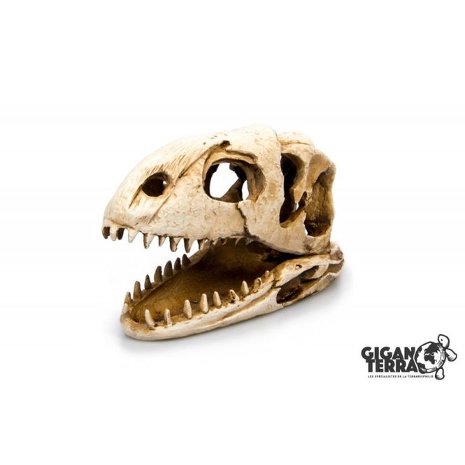 Hovedbilde Dinosaur Crane-206 19x8x11cm
