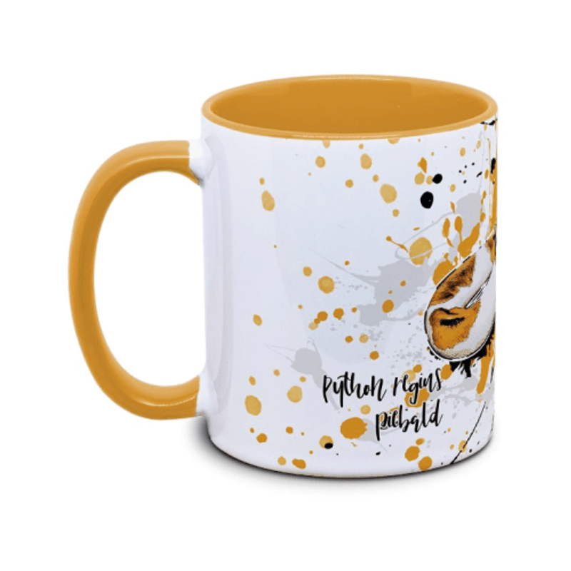 KAFFEKOPP KONGEPYTON / PYTHON REGIUS PIED