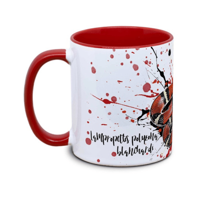 KAFFEKOPP MELKESNOK / LAMPROPELTIS POLYZONA BLANCHARDI