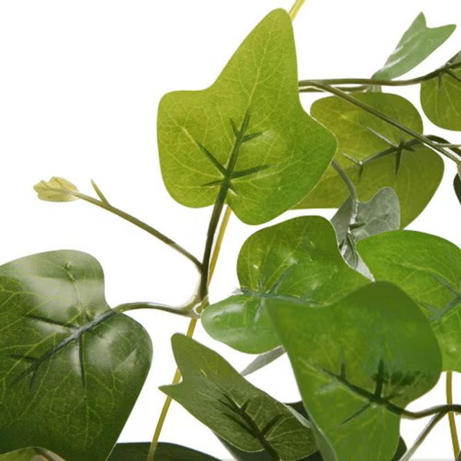 Hovedbilde HabiStat Hanging Vine Plus, Sweet potato100cm