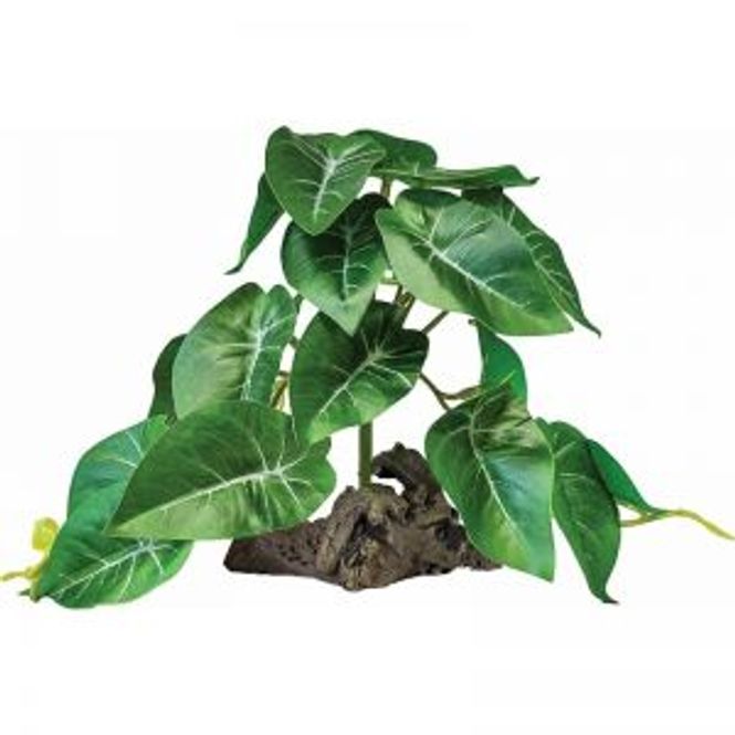 Hovedbilde Repto plant on deco elephant green