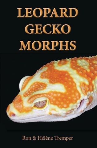 Hovedbilde Leopard gecko Morphs av Ron Tremper