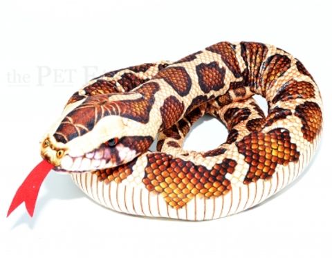 Hovedbilde Tigerpyton