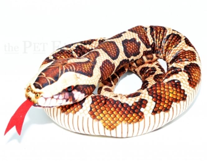 Hovedbilde Tigerpyton