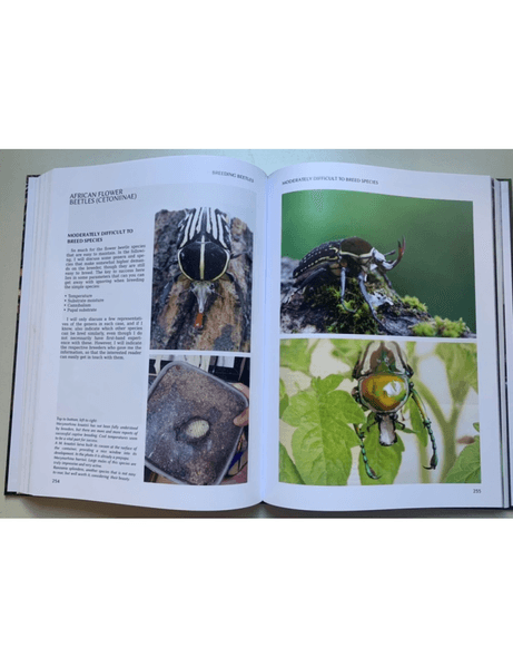 Breeding Beetles - The Substantial Guide By Benjamin Harink