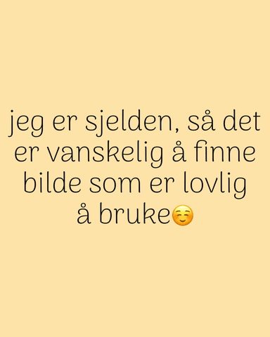 Hovedbilde Ornithoctonus sp. “Khoa Sok” VELVET ...