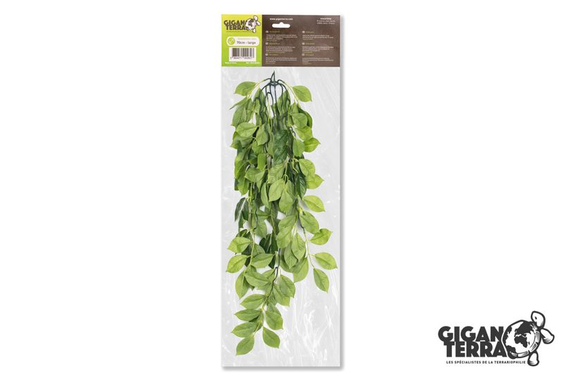 Gigan ficus 70cm