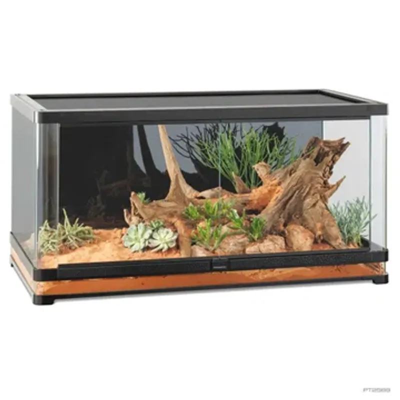  Exo-Terra Vista 120XL - Panoramic Natural Terrarium 120x60x60 cm / FORHÅNDSBESTILLING / MÅ HENTES
