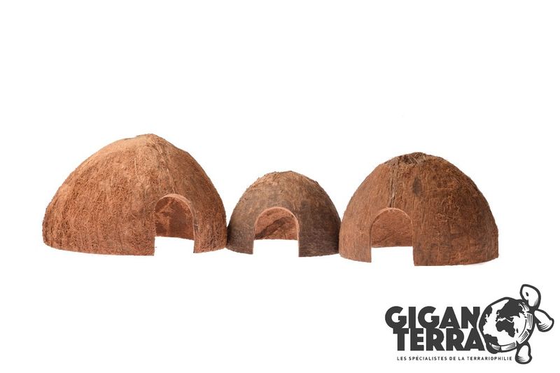 Kokosnøtt sett fra Gigan terra
