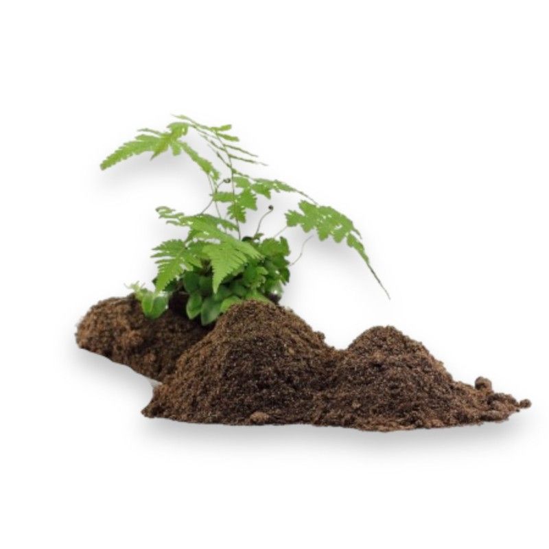Spider ground /The pet factory 2,5kg